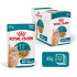 Royal Canin kesice za mačke Ageing +11 - sosić 12x85g