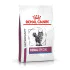 Royal Canin veterinarska dijeta Renal Special Cat 2kg