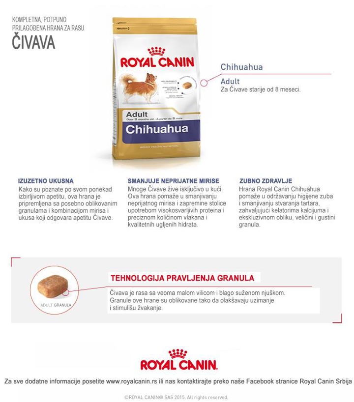 Royal Canin Čivava