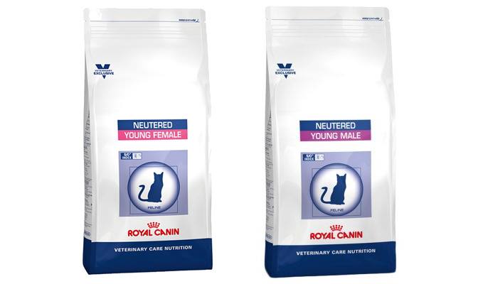 Sterilizacija mačke - royal canin
