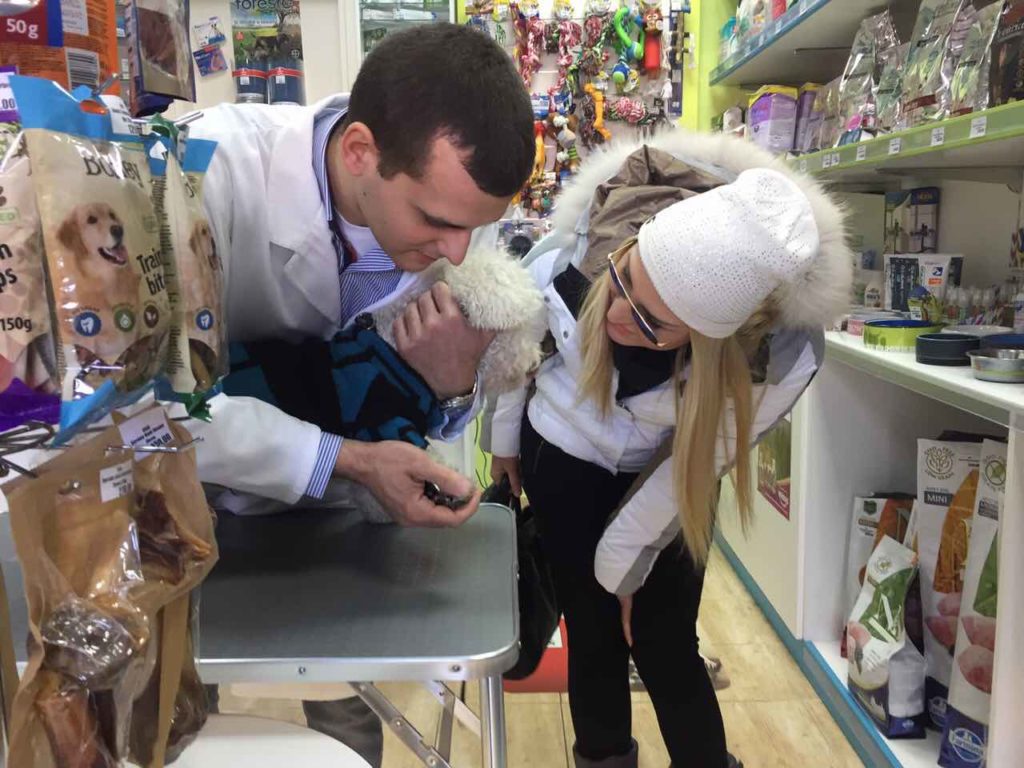 pet shop Novi Beograd - saveti veterinara