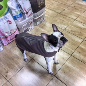 15107370_1173133852769483_231140124335900427_n