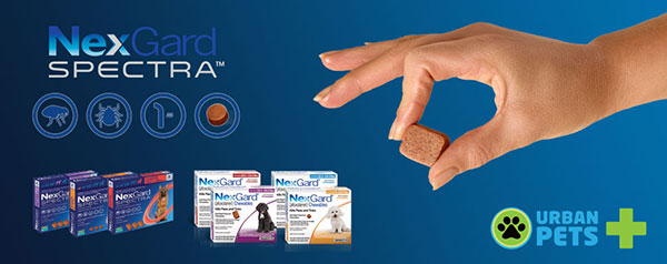 Veliki banner NexGard